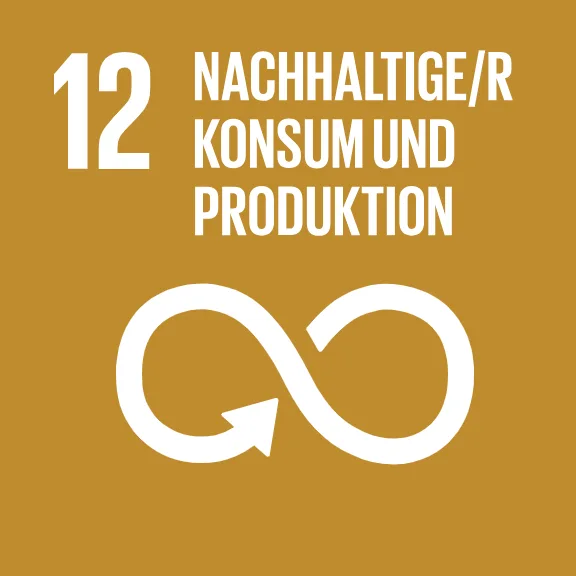 Sürdürülebilirlik 9 sdg 12